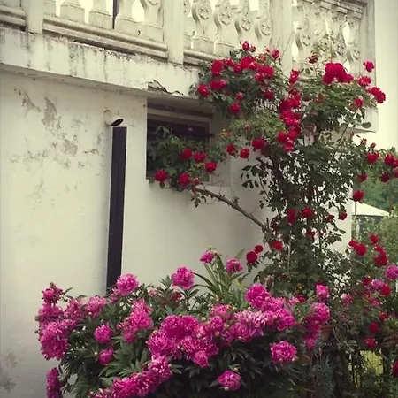 Bed & Breakfast Il Forno Dal 1922