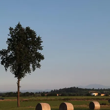 Il Forno Dal 1922 Bed & Breakfast
